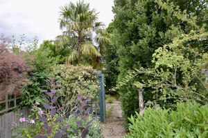 Garden- click for photo gallery